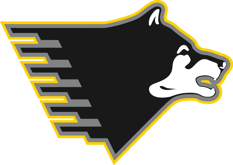 Michigan Tech Huskies 2005-2015 Partial Logo iron on paper